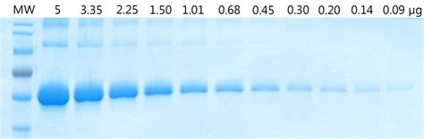 How to image Coomassie